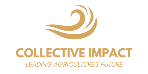 Collective Impact Logo
